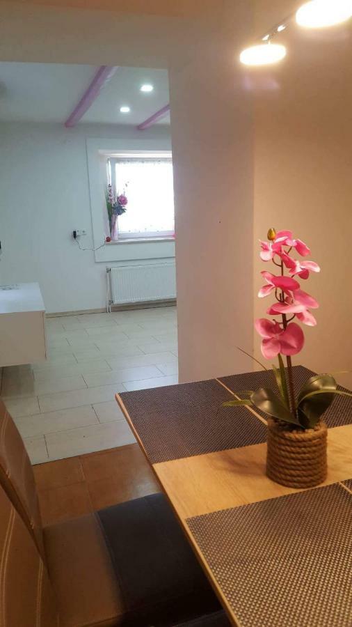 Apartment Goran & Nela أوماغ المظهر الخارجي الصورة